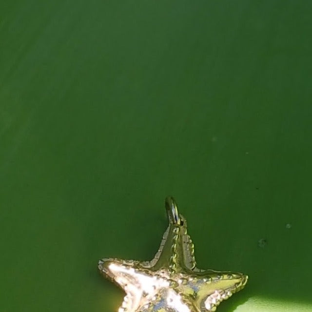 Starfish Charm