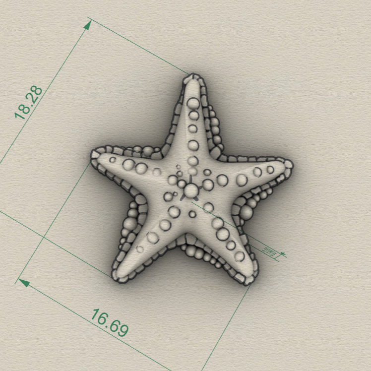Starfish Charm