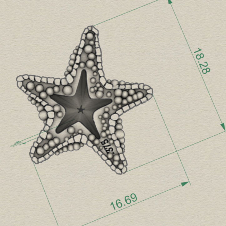 Starfish Charm