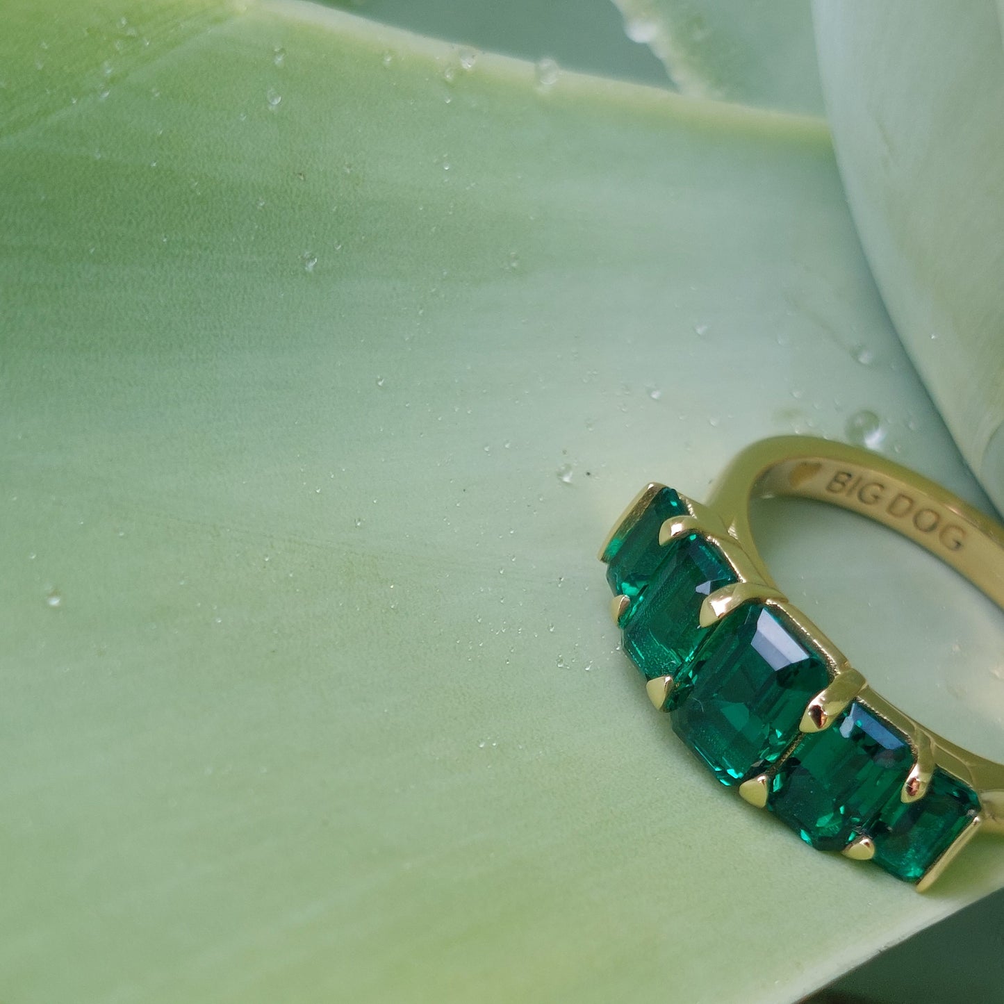 Emerald cut Emerald ring (Kylie)