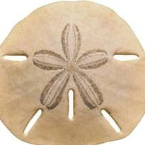 Sand Dollar Pendant